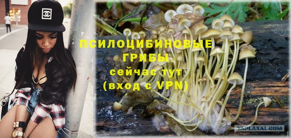 твердый Белокуриха