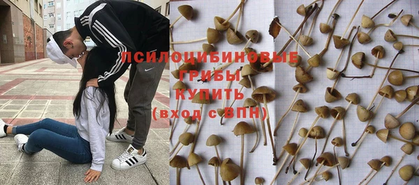 ешки Белоозёрский