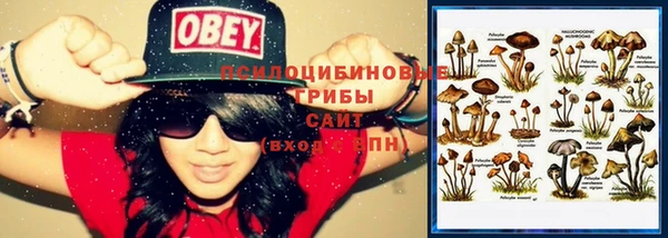 ешки Белоозёрский