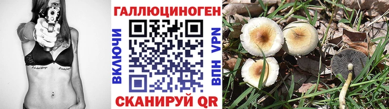 наркотики Шахты Галлюциногенные грибы мухоморы